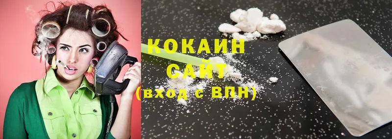 Cocaine Fish Scale  blacksprut ССЫЛКА  Малая Вишера 