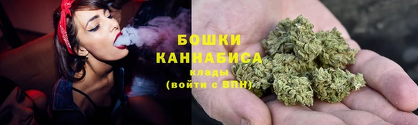 стаф Новозыбков