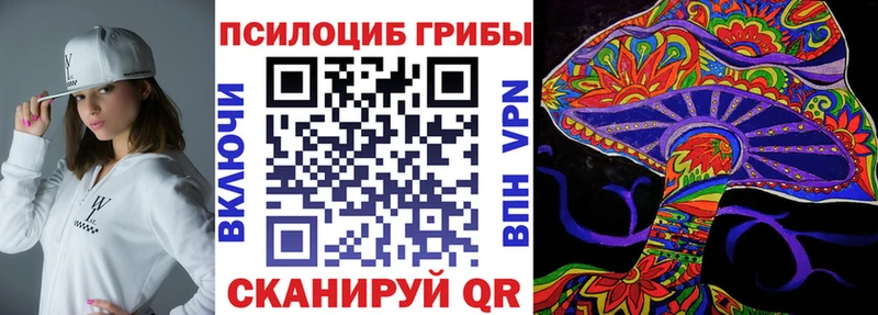 Галлюциногенные грибы Psilocybe  Малая Вишера 